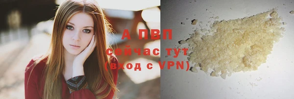 дживик Зерноград