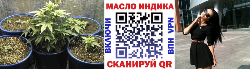 Купить где  Дорогобуж  ТГК гашишное масло 